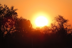 bild5